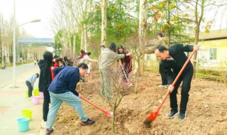 武汉生物学院